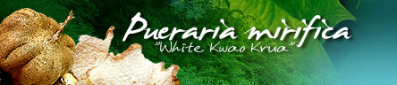 Pueraria Mirifica (White Kwao Krua)